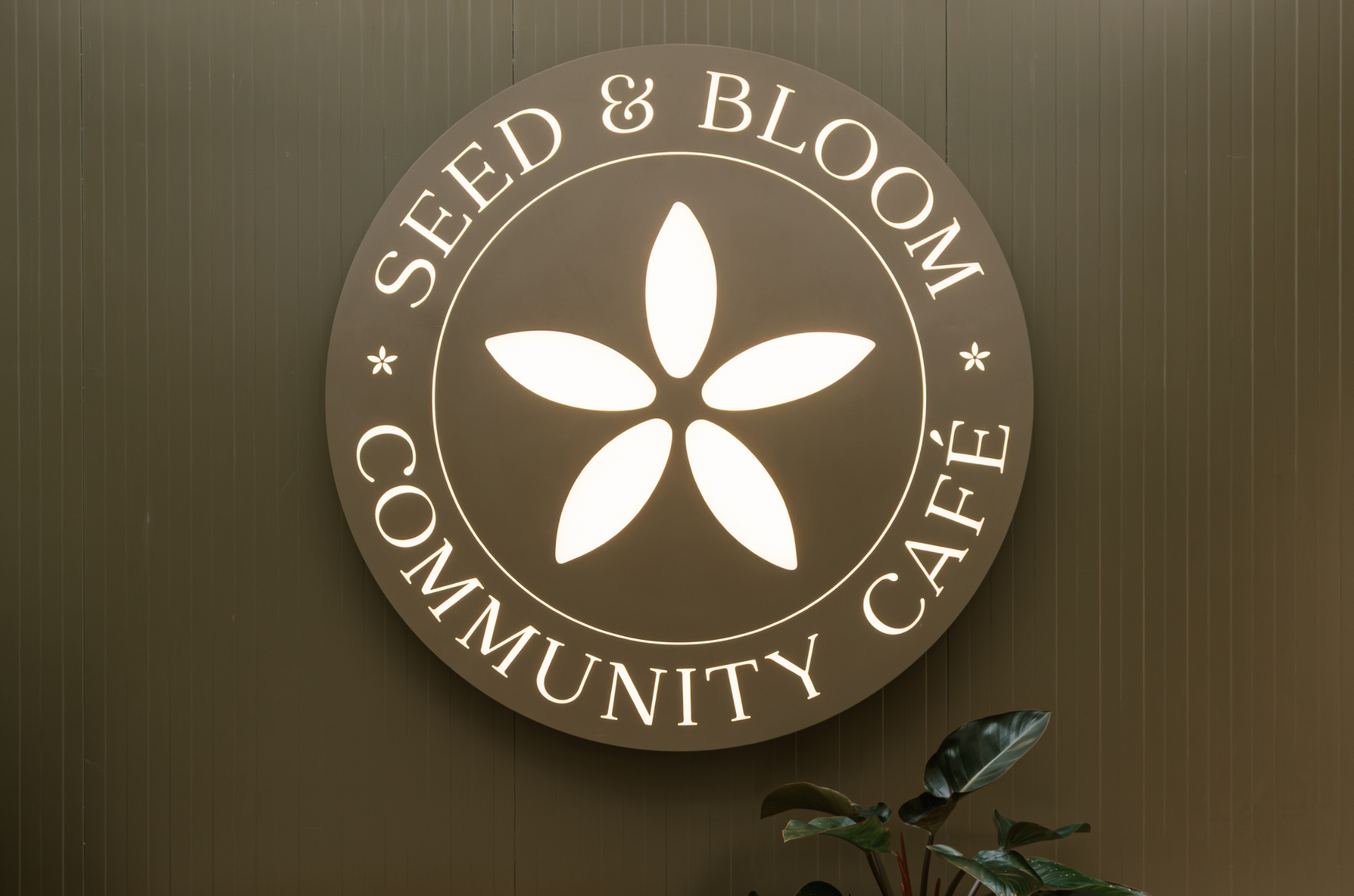 6-Jan-13-2026-02-00-54-3013-PM