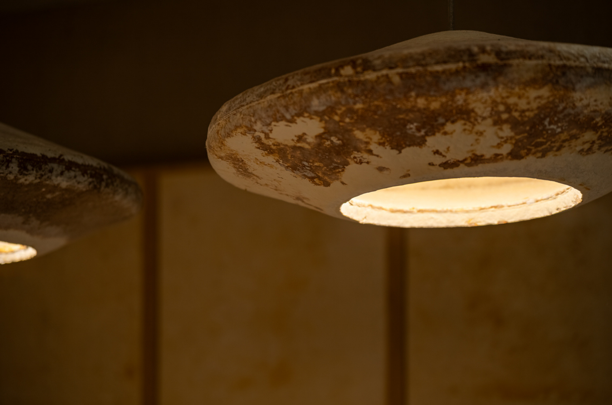 9-Jan-12-2026-12-31-10-4915-PM