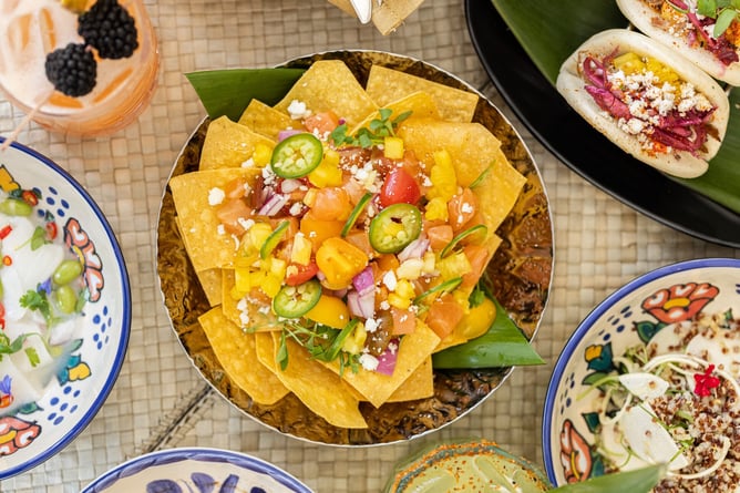 05.20.2021_ElTakoy-5192-1