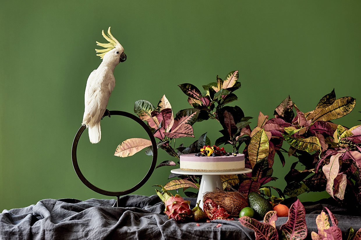 Menagerie Dish