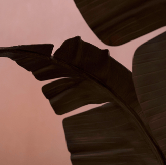 Screenshot 2026-03-05 114423