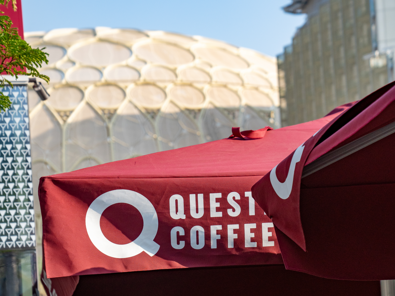 q-coffee-brand-cop-28-food-sustainability