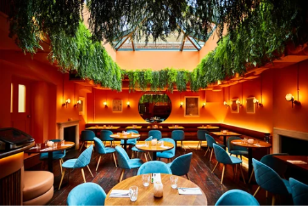 cafe and restaurant dining area